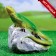 Garden figure "Lizard on Stone", 16x16 cm,