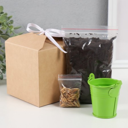 Set for growing plants "grow grass" bucket-2