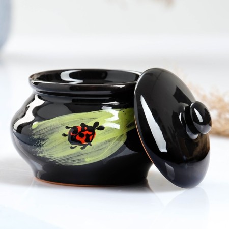 Set for Pskovsky Dumplings 1.4l / dish 34x25cm / 4x0.2l, ladybug-7