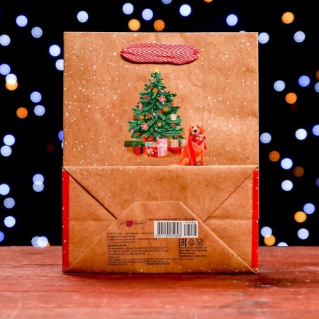 Gift package "Waiting for the New Year" 18 x 22.3 x 10 cm-1