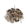 Tundra nails, decorative, 10x18.5 mm, chrome, 100 pcs