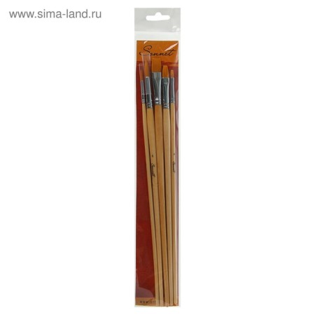 System of Synthetics 5 pieces of ZHK "Sonnet No. 3" (Round No.: 2.6; Flat No.: 4.8.12) Long handle-2