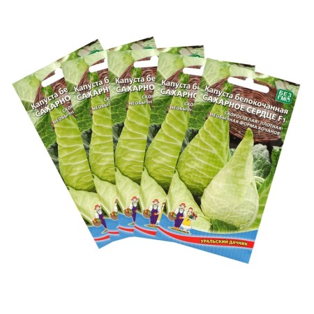 White cabbage seeds "sugar heart", set 5 pcs