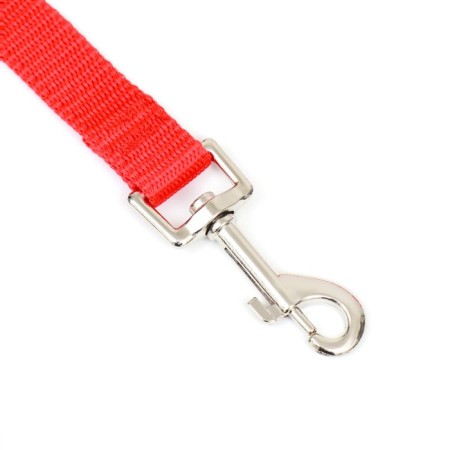 Leash 3 m x 2 cm, red-1