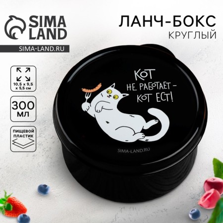 Lunch box "cat does not work", 0.3 l