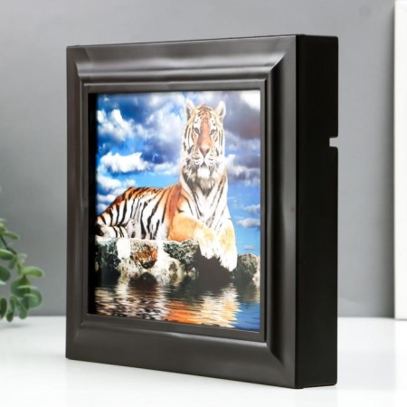 Keyline "Tiger" 26x31x4.5 cm Wenge-3