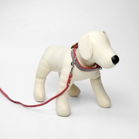 Set of collar (34-45x2 cm) reflective and leash (130x1 cm), red-1