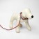 Set of collar (34-45x2 cm) reflective and leash (130x1 cm), red