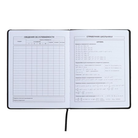 Universal Grade 1-11 Diary, 48 sheets "Girl 2", solid cover of artificial leather, lies, universal cheat sheet, block 80 g/m2-7
