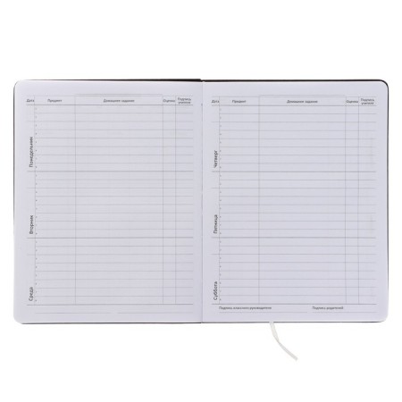 Universal diary for grade 1-11 Fearless, integral cover, artificial leather, silkography, lies, 80 g/m2-4