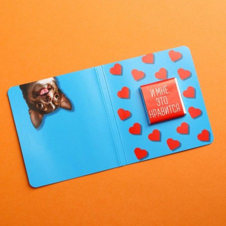 Milk chocolate "You are a fool", postcard, 5 g.-1