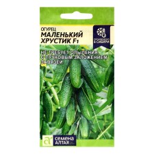 Cucumber seeds are a small crunch f1, c/n, 5 pcs.