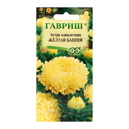 Astra seeds "Yellow Tower", 0.3 g-4