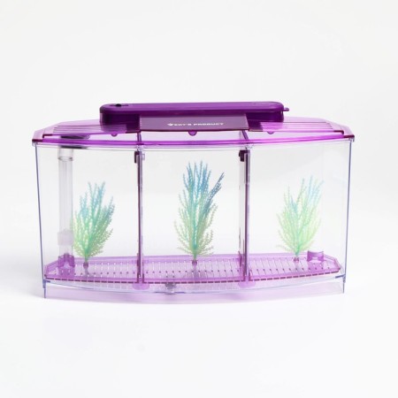 Aquarium set is three -section, with LED backlight, 2.55 liters, purple-1