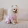 Combineson for animals Pink, L (DS 39, Osh 36-38, OG 60-62)