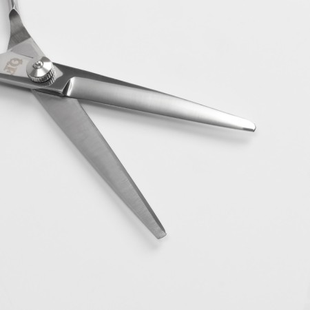 Hairdressers with emphasis, blade - 6 cm, silver color-3