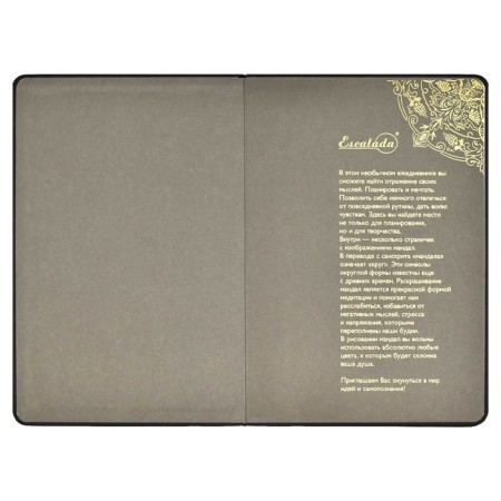 Diary of Leduced A5, 124 Escalada sheets, solid binding, artificial leather "SOFT-Tach", stamping foil of congrekes, white offset 70 g/m2, 120 g/m2-4