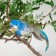 Decor on the clothespin of bird mix set 3pcs 4449372