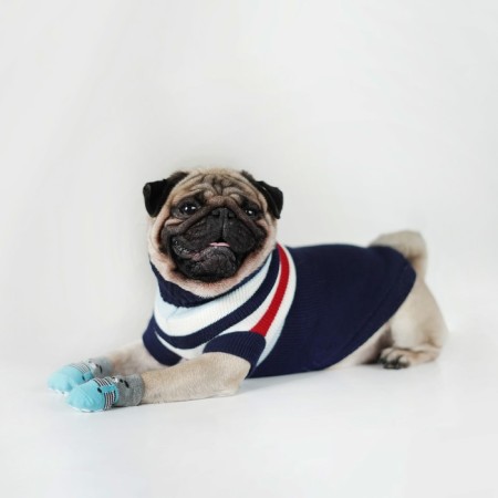 Sweater "stripes", l (ds 29, Osh 29, og 29-49 cm), blue
