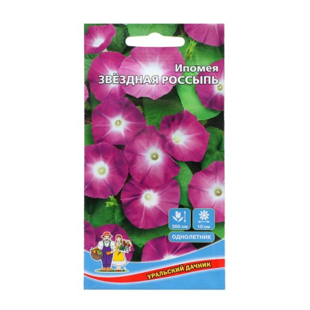 Flowers of the Ipomey "Star Sall", 12 pcs,