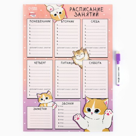 The schedule of the Lesson "Funny Kotiks" A3, reusable magnetic with marker-1