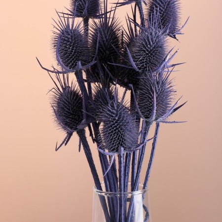 Set of dried flowers "Brush", banch 7-8 pcs, length 50 (+/- 6 cm), purple-1