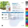 Remedy for selective weeds "August", "Lazut", 5 g