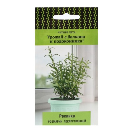 Rosemary seeds "Rosinka" 10 pcs