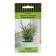 Rosemary seeds "Rosinka" 10 pcs