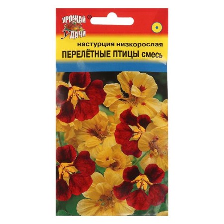 Seeds of flowers nasturtium bush. "Migratory birds", mixture, 0.6 g