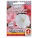 Flower seeds "Garden rose" mixture, a series of chain mail, o, 0.3 g