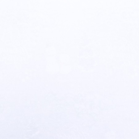 Paper Glossy Paper "Dragon with a Snowman", 70 x 100 cm-3