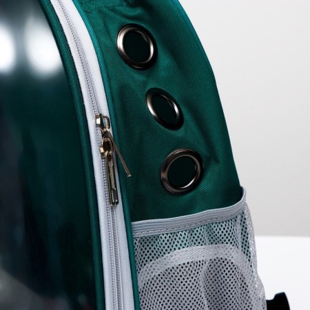 Backpack for carrying animals, transparent, 31 x 28 x 42 cm, green-4