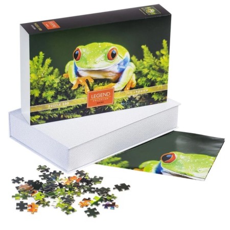 Puzzles "Princess Frog" in a gift box, 500 elements + poster-2