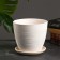 Flower pot "Halva" white crocus, 2.3 liters