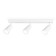 The turn -the -cloth overhead is the Ambrella Light, Move, Ta13148, GU10, white color, white