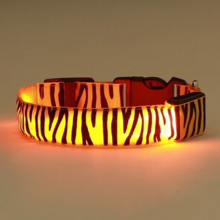 Collar with backlight tiger 3 glow modes Size S, Osh 22-40 x 2.5 cm Orange-4