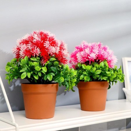 Bonsai "Georgin decorative" 10x22 cm, mix-4