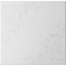 Ceiling plate 
