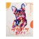 Universal diary for grades 1-11, "cute dog", solid cover 7BC, matte lamination, 40 sheets