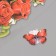 Interior plastic sticker "Pionovid roses" 40x31 cm