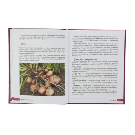 Potatoes and cabbage. Harvest secrets from Oktyabrina Ganichkina. Ganichkina O.A.-3