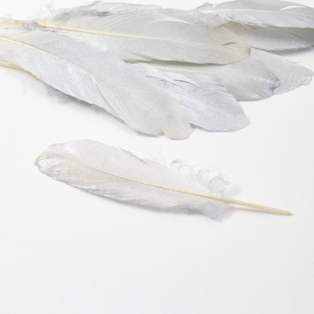 Feathers for decor, silver full color, 13-15 cm 10 pcs-1