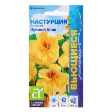 Semen Nasturtium 