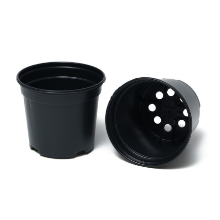 Set for seedlings: glasses of 520 ml (8 pcs), pan 40 × 30 cm, black, Greengo-10