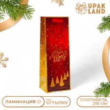 New Year. New Year's gift package for the bottle 
