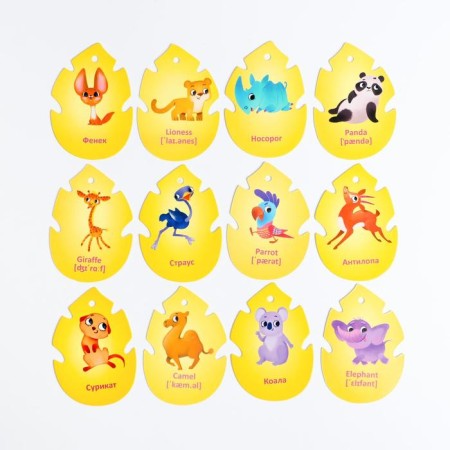 Cards on the ring for learning English "Dzhungly and Safari", 20 cards, ring, 3+-2