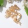 Brooch "Trilisters", white color in gold