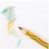 Pencil with a multi-color barrel of the multi-gun, "raccoon and rainbow", thickened