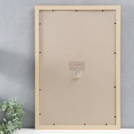 Photo frame plastic 40x60 cm, (plastic screen) K203-02-40-60-2